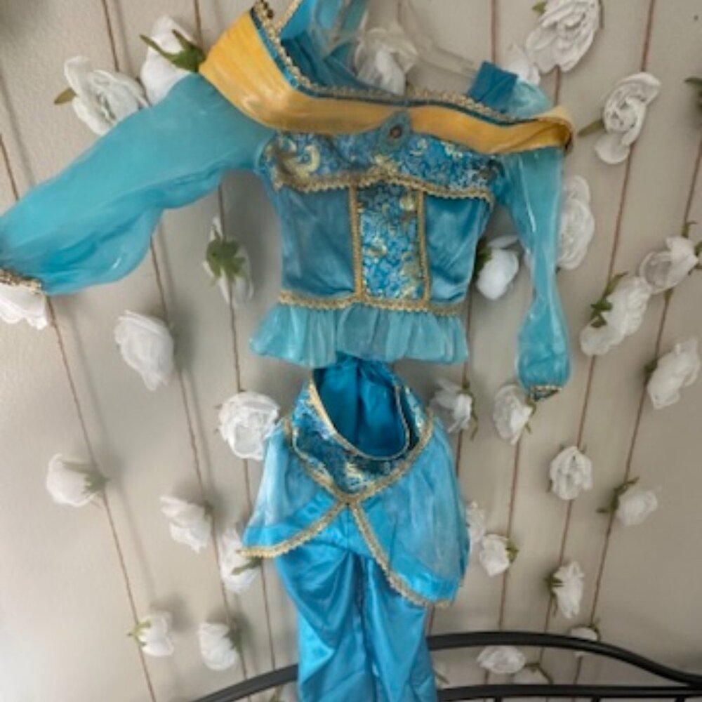 Jasmine Disney costume